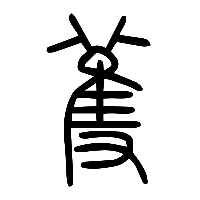 说文解字篆文蒦0