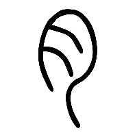 说文解字篆文肉0
