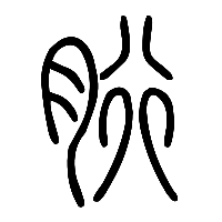 说文解字篆文胻0