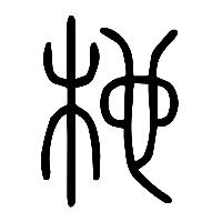 说文解字篆文杝0