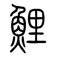 说文解字篆文鯉0