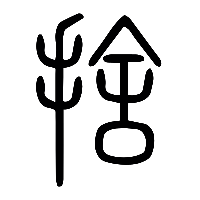 说文解字篆文捨0