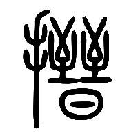 说文解字篆文搢0