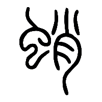 说文解字篆文蛸0
