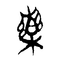 竹简帛书藥0