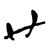 竹简帛书廿0