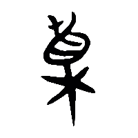 竹简帛书植0