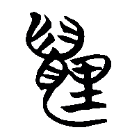 竹简帛书貍0